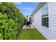 Private backyard with a gas grill and lush hedges at 4318 St Stephen St, The Villages, FL 32163