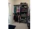 Large walk-in closet with shelving and hanging space at 4318 St Stephen St, The Villages, FL 32163
