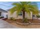 Landscaped yard with palm tree and stone border next to tan house at 9224 Se 167Th Ford St, The Villages, FL 32162