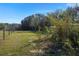 Open pasture land with a section of bamboo trees at 22740 County Road 44A, Eustis, FL 32736