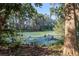 Serene pond surrounded by lush vegetation and trees at 22740 County Road 44A, Eustis, FL 32736