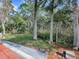 Wooded backyard view from patio at 32314 Oak Park Dr, Leesburg, FL 34748