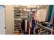 Large walk-in closet with shelves and hanging rods at 1881 Sassparilla Way, The Villages, FL 32162