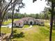 One-story house on a large lot with mature trees surrounding at 14950 Nw 216Th Pl, Micanopy, FL 32667