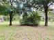Partially grassy backyard with large trees at 14468 Ne 204Th Ln, Fort Mc Coy, FL 32134