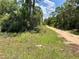 Dirt road leading through wooded area at 14468 Ne 204Th Ln, Fort Mc Coy, FL 32134
