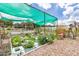 Herb garden with shade structure and various plants at 16465 Sw 14Th Ave, Ocala, FL 34473