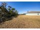 Large backyard with dry grass and trees at 2327 Sw 168Th Loop, Ocala, FL 34473