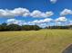 Open pasture with neatly cut grass, trees, and a distant view at 20690 Sw 36Th St, Dunnellon, FL 34431