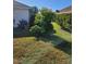 Landscaped backyard with a mature avocado tree at 4773 Nw 32Nd St, Ocala, FL 34482