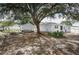 Large backyard with shed, mature trees, and open space at 152 Audubon Ct, Winter Haven, FL 33884