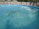 Above ground swimming pool that needs cleaning at 600 Sunway Ln, Winter Haven, FL 33880