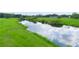 Riverfront property showcasing serene pastures and lush vegetation at 1096 Drew St, Lakeland, FL 33810