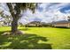 Large backyard with mature oak tree and lush green grass at 4848 Island Shores Ln, Lakeland, FL 33809