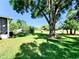 Spacious backyard with large tree and grassy lawn at 2036 E Gachet Blvd, Lakeland, FL 33813