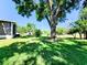 Spacious backyard with large tree and grassy lawn at 2036 E Gachet Blvd, Lakeland, FL 33813