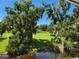 Scenic view of a waterway with lush trees and Spanish moss at 6128 Topher Trl # 6128, Mulberry, FL 33860