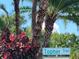 Street sign indicating Topher Trail within a tropical landscape at 6128 Topher Trl # 6128, Mulberry, FL 33860