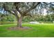 Peaceful pond with a white dock and large oak tree at 4829 Colonnades E Cir, Lakeland, FL 33811