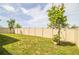 Landscaped backyard with privacy fence at 731 Griffon Ave, Lake Alfred, FL 33850