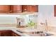 Kitchen sink and countertop with granite and wood cabinets at 1 Loma Linda, Lakeland, FL 33813