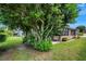House exterior with mature trees and landscaping at 6256 Sandpipers Dr, Lakeland, FL 33809