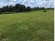 Large grassy lot with mature trees in the background at 2739 Red Egret Dr, Bartow, FL 33830