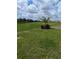 Green grassy yard with trees and power lines at 2739 Red Egret Dr, Bartow, FL 33830