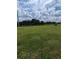Spacious grassy lot with mature trees and power lines at 2739 Red Egret Dr, Bartow, FL 33830