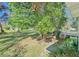 Landscaped backyard with large trees and grassy area at 285 Lemon St, Mulberry, FL 33860
