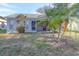 Screened porch and spacious backyard with palm trees at 4197 Cannes Ave, Lake Wales, FL 33859