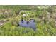 Aerial view showing home, pond, and surrounding trees at 9240 Moore Rd, Lakeland, FL 33809