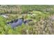 Aerial view of home on wooded lot with pond at 9240 Moore Rd, Lakeland, FL 33809