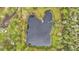 Aerial view of a pond with a dock at 9240 Moore Rd, Lakeland, FL 33809