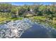 Aerial view of a lakefront property with lush trees and vegetation at 309 W Frederick Ave, Dundee, FL 33838