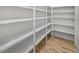 Walk-in pantry with ample shelving at 2728 Sunrise Landing Ln, Lakeland, FL 33812