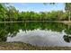 Serene pond reflecting the surrounding trees and sky at 1795 Hideaway Ln, Edgewater, FL 32141