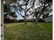 Large backyard with lush grass and mature trees at 535 S Peninsula Ave, New Smyrna Beach, FL 32169