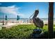 Pelican statue near beach access at 2401 S Atlantic Ave # D304, New Smyrna Beach, FL 32169