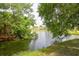 Peaceful pond view with lush greenery and a home in the distance at 2051 Cornell Pl, Port Orange, FL 32128