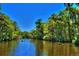 Kayakers on a calm river surrounded by lush foliage at 2051 Cornell Pl, Port Orange, FL 32128