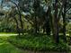 Lush landscaping with ferns and mature trees at 1780 Otisco Way, Winter Springs, FL 32708