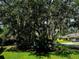 Spacious backyard with a large oak tree and lush green grass at 1780 Otisco Way, Winter Springs, FL 32708