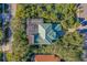 Property's overhead view showing the house's green roof, pool, and lush surroundings at 69 S Turn Cir, Ponce Inlet, FL 32127