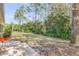 Large backyard with grassy area, trees, and a patio at 2853 Turnbull Estates Dr, New Smyrna Beach, FL 32168