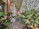 Neat and tidy side yard with mature tropical plants at 4150 S Atlantic Ave # 103A, New Smyrna Beach, FL 32169
