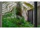 Lush courtyard with a large palm tree and tropical plants at 141 Green Heron Ct, Daytona Beach, FL 32119