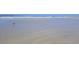 Sandy beach with waves and a bird at 40 Sandra Cir, New Smyrna Beach, FL 32168