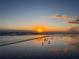 Sunrise over the beach with birds on the shore at 701 N Atlantic Ave # 203, New Smyrna Beach, FL 32169
