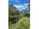 Tranquil view of Florida canal with palm trees, oak trees, and Spanish moss at 1200 Lurian St, New Smyrna Beach, FL 32168